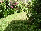 garden at rear
